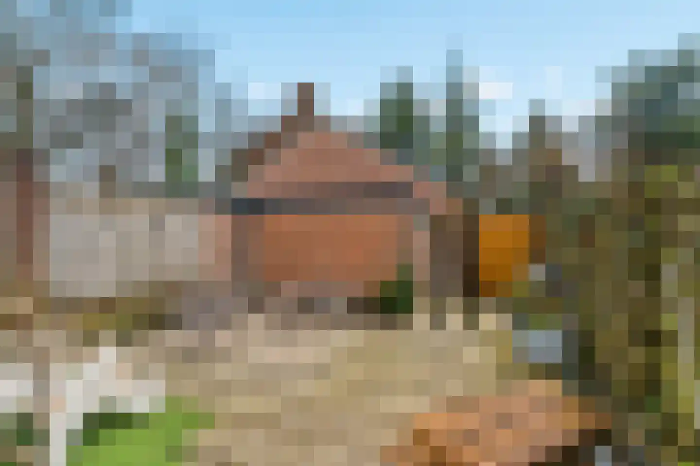 Zilverakkerweg 14 Dieren thumbnail 26