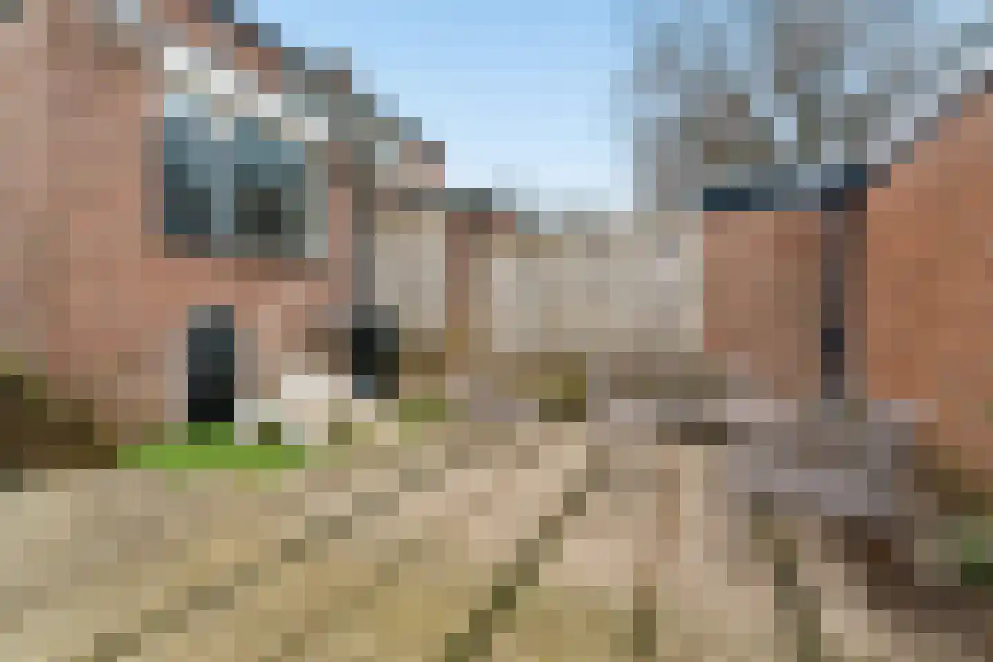 Zilverakkerweg 14 Dieren thumbnail 27