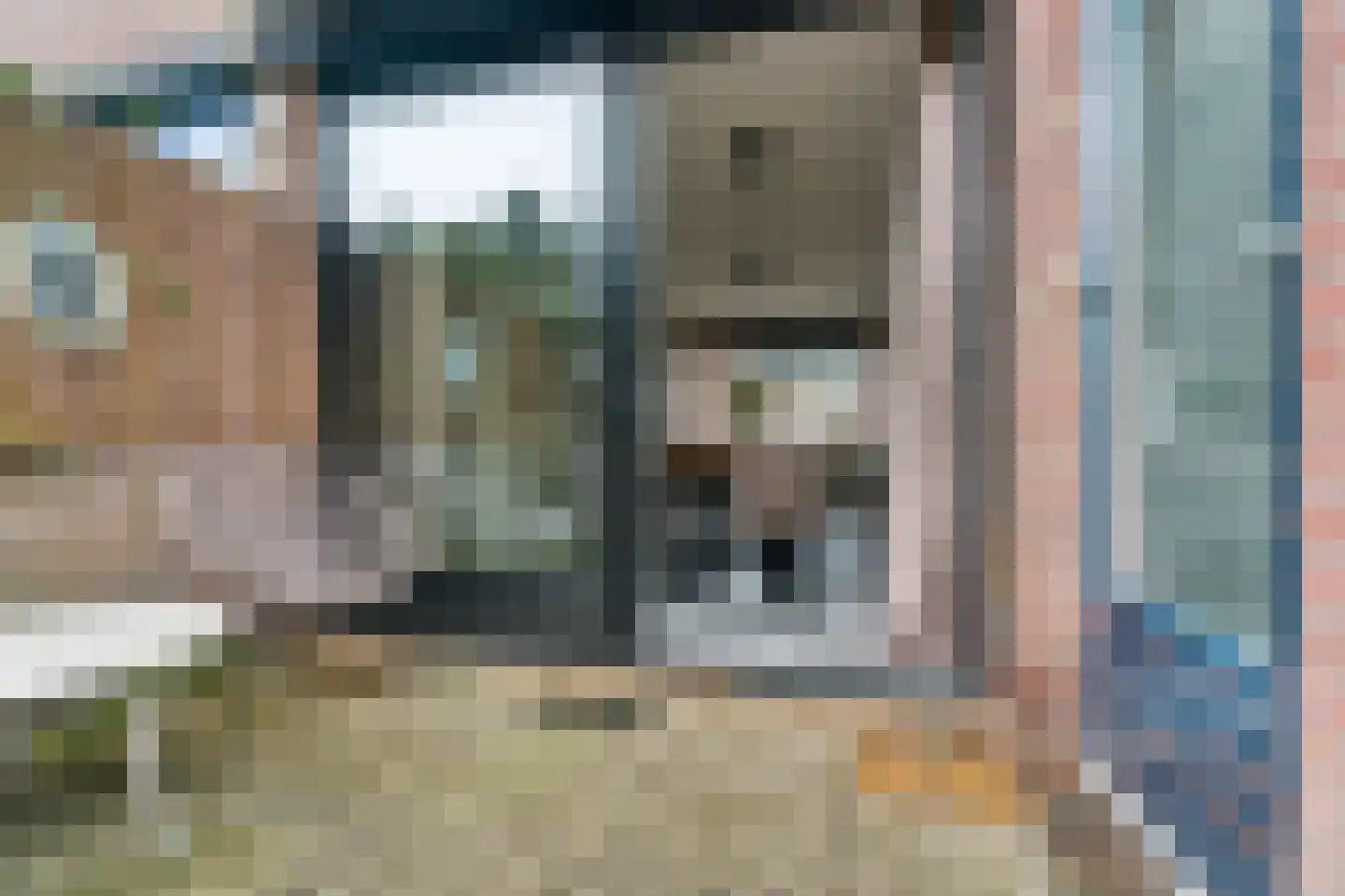 Zilverakkerweg 14 Dieren thumbnail 28
