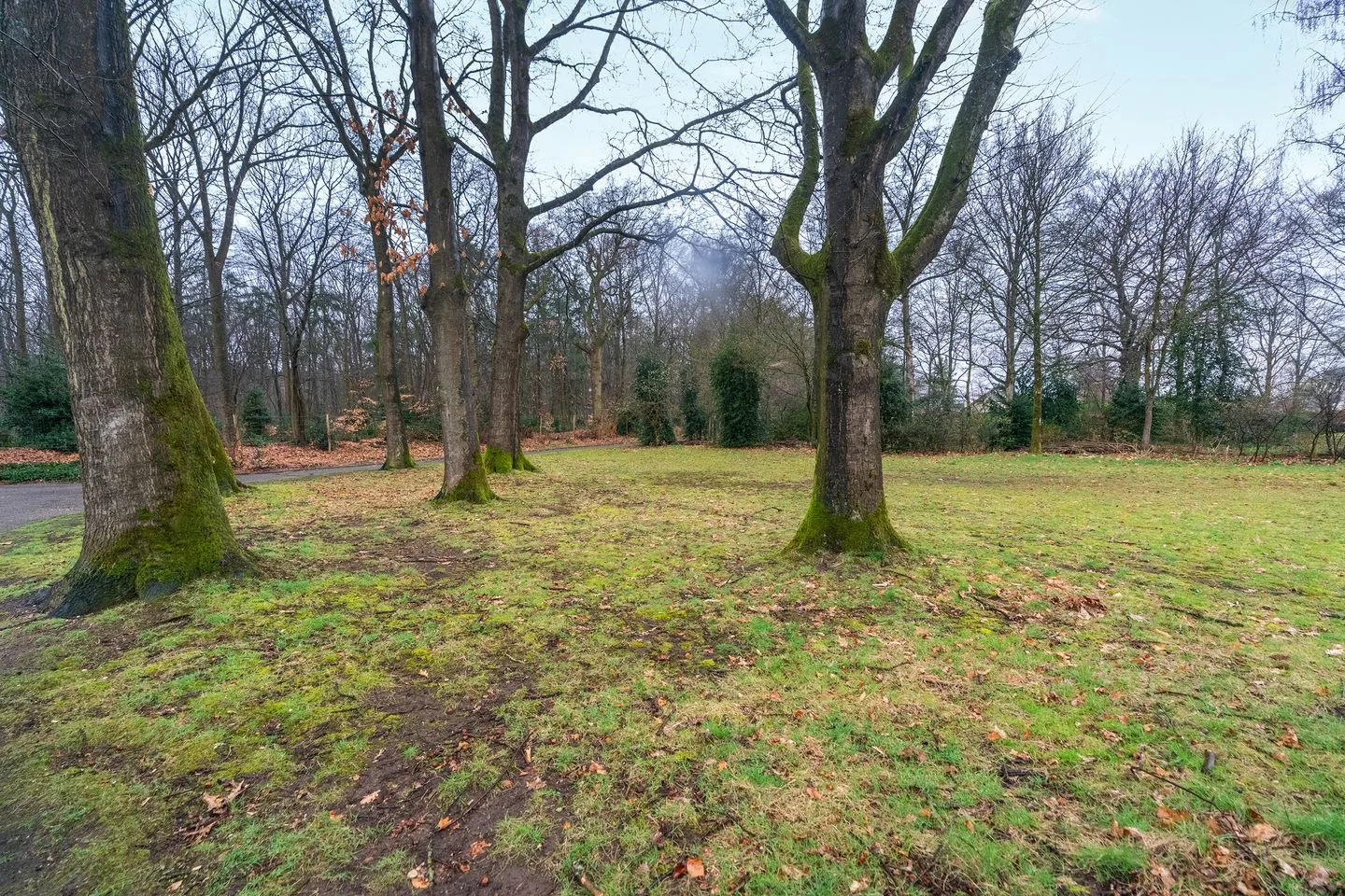 Zilverakkerweg 14 Dieren thumbnail 34
