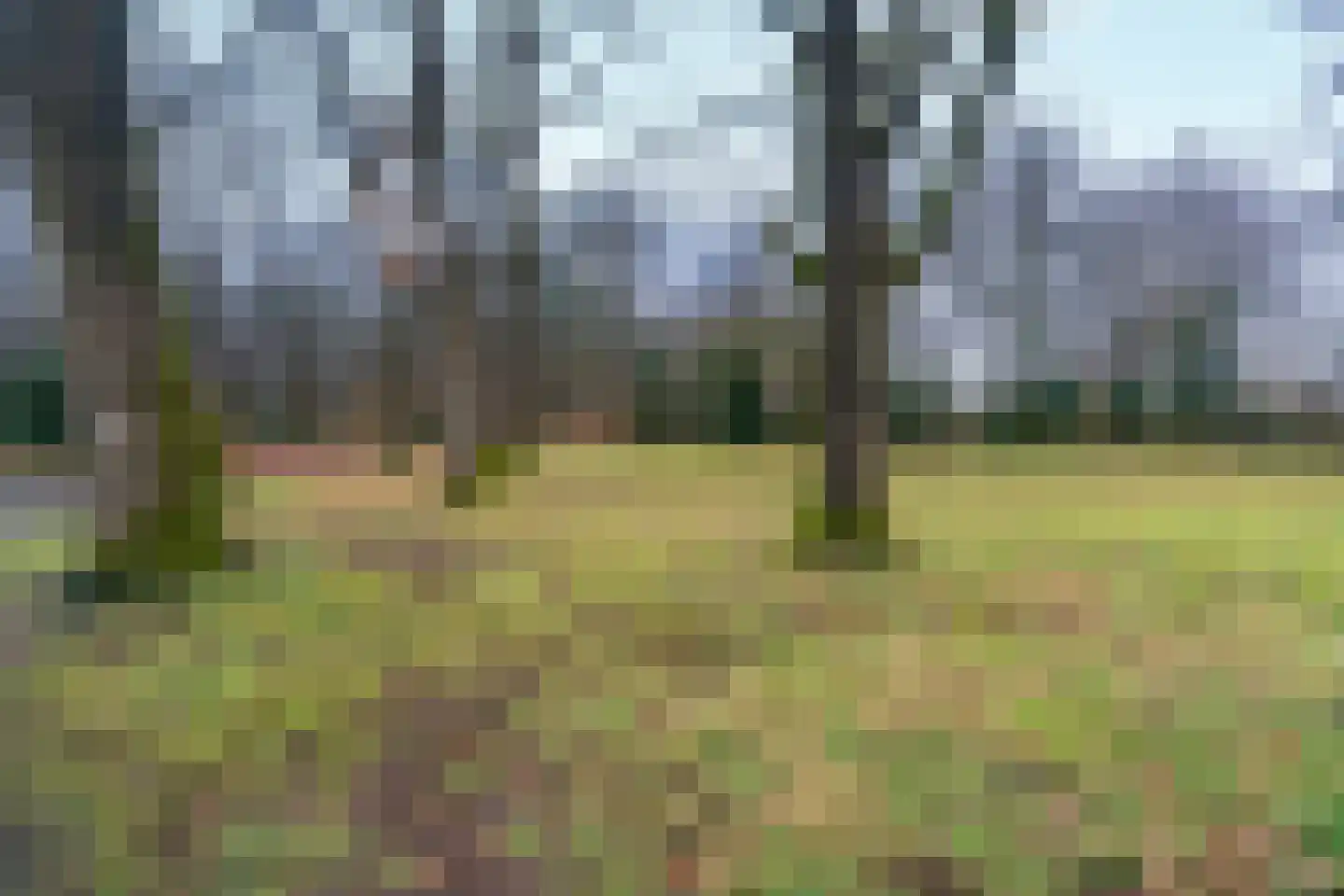 Zilverakkerweg 14 Dieren thumbnail 34