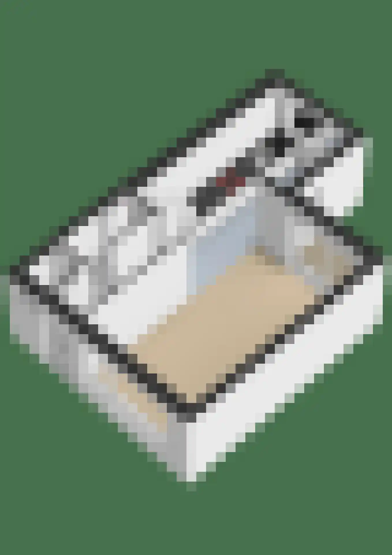 Zilverakkerweg 14 Dieren thumbnail 36