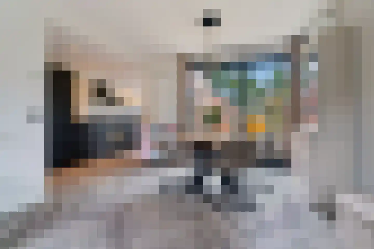 Zilverakkerweg 14 Dieren thumbnail 4