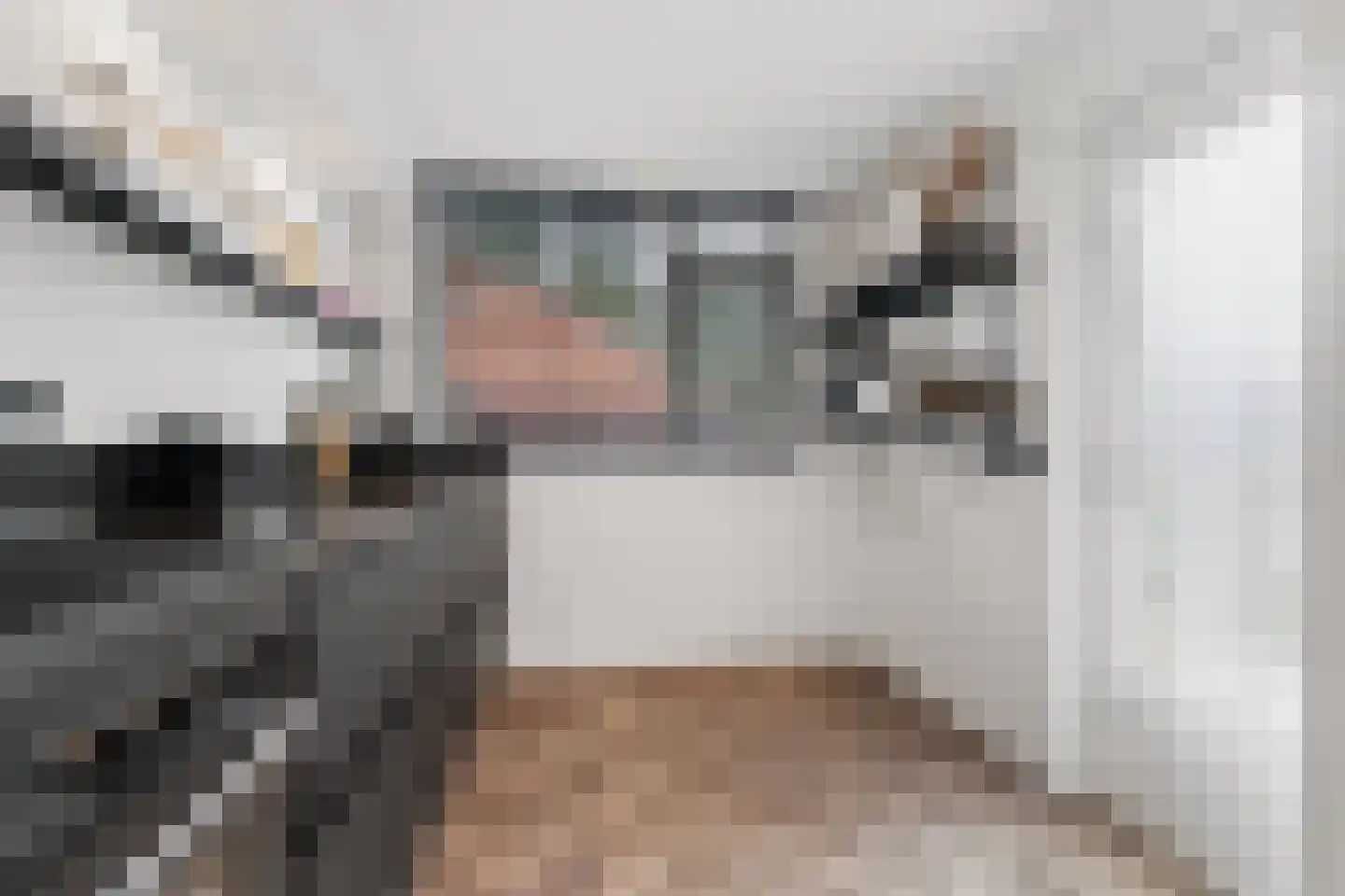 Zilverakkerweg 14 Dieren thumbnail 5