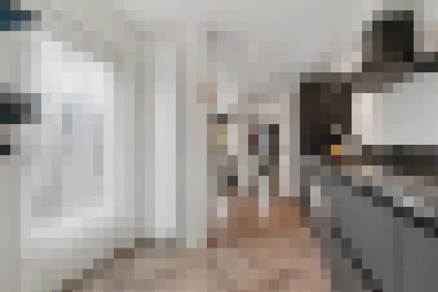 Zilverakkerweg 14 Dieren thumbnail 7