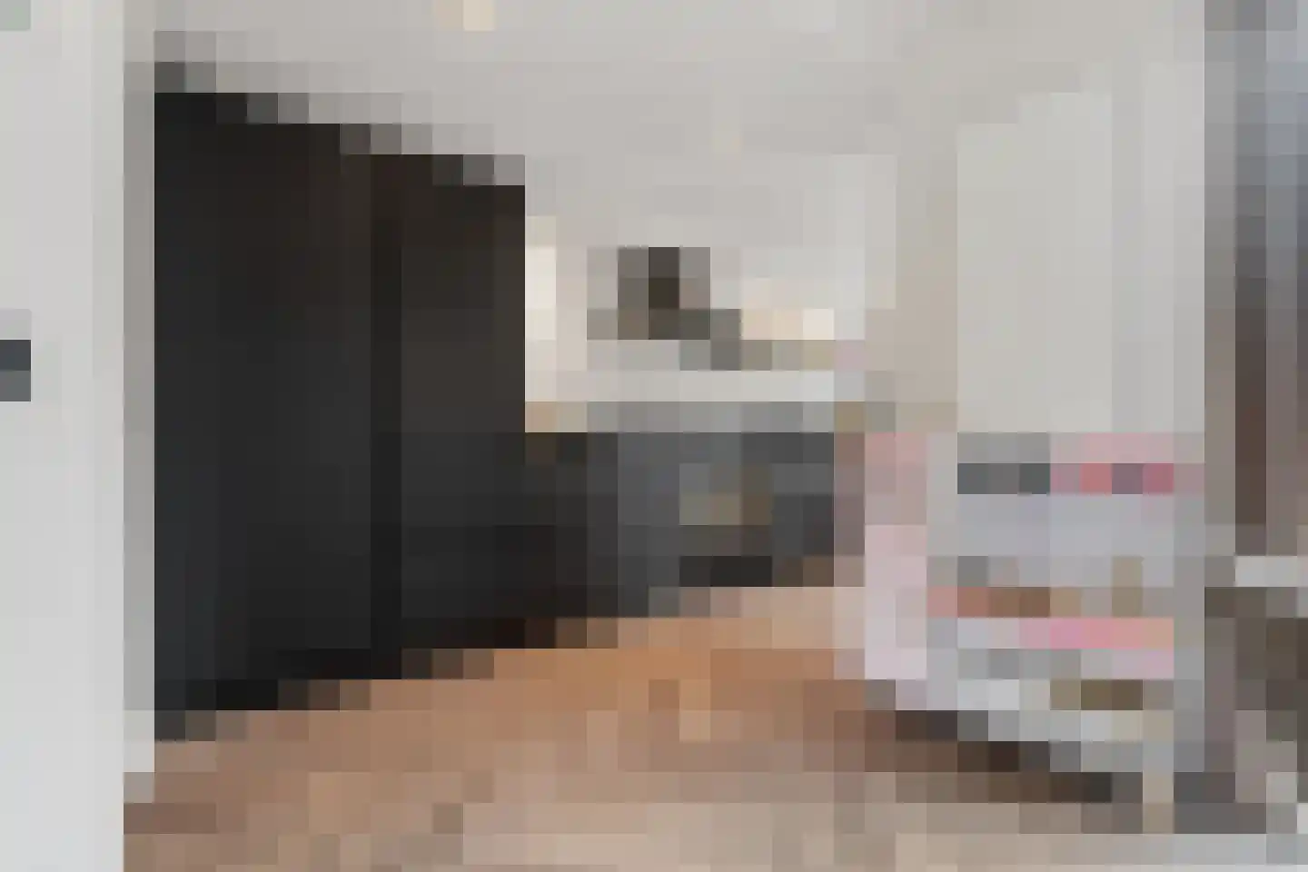 Zilverakkerweg 14 Dieren thumbnail 8