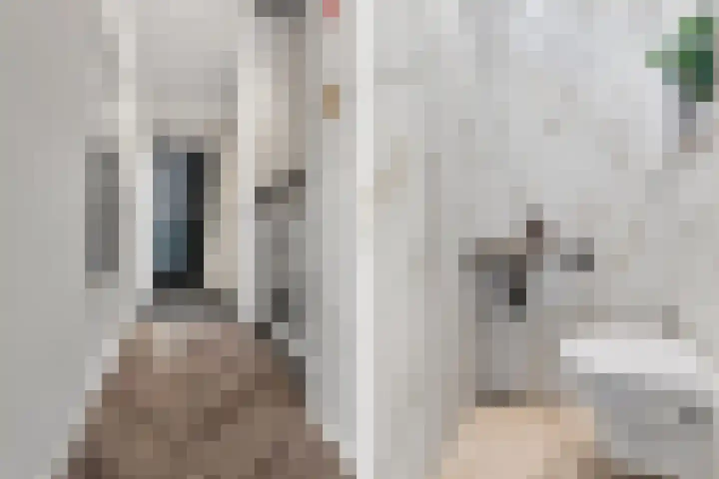 Zilverakkerweg 14 Dieren thumbnail 9