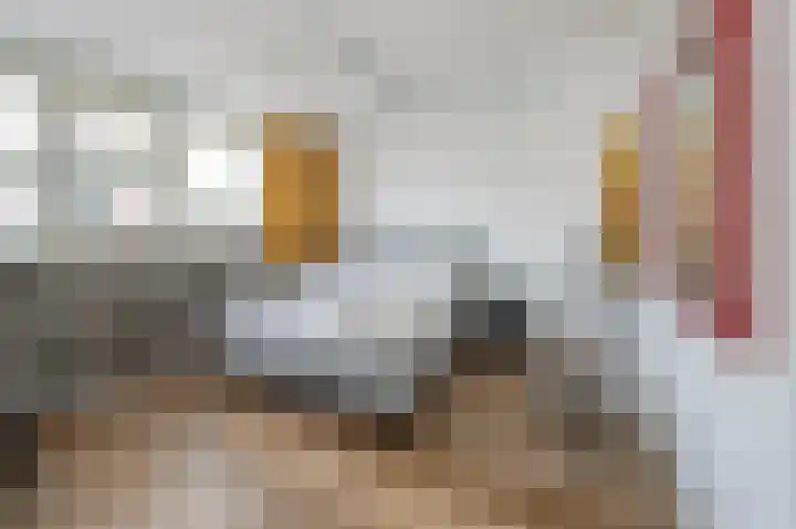 Zilverakkerweg 36 Dieren thumbnail 13