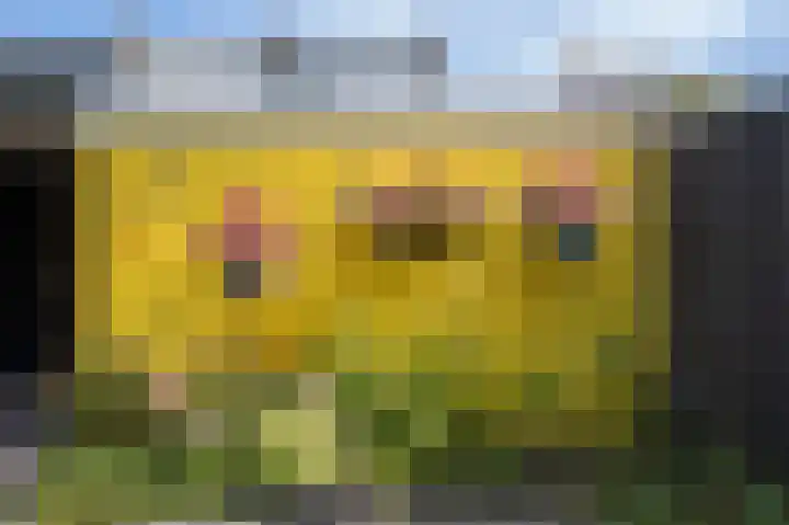 Zilverakkerweg 36 Dieren thumbnail 18