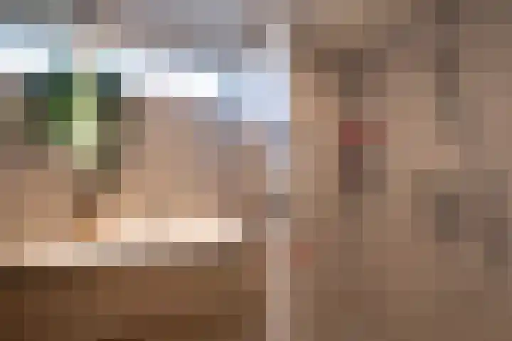 Zilverakkerweg 36 Dieren thumbnail 5