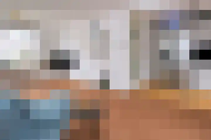 Zilverakkerweg 36 Dieren thumbnail 7