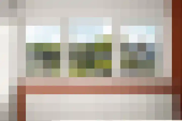 Zilverakkerweg 39 Dieren thumbnail 19