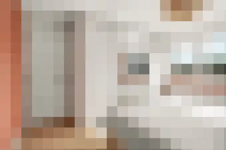 Zilverakkerweg 39 Dieren thumbnail 20