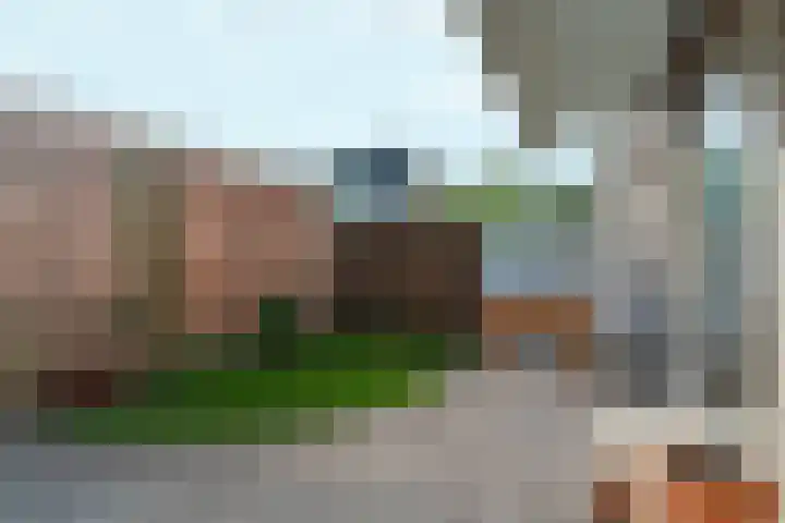Zilverakkerweg 39 Dieren thumbnail 29