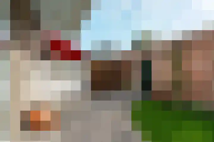 Zilverakkerweg 39 Dieren thumbnail 30