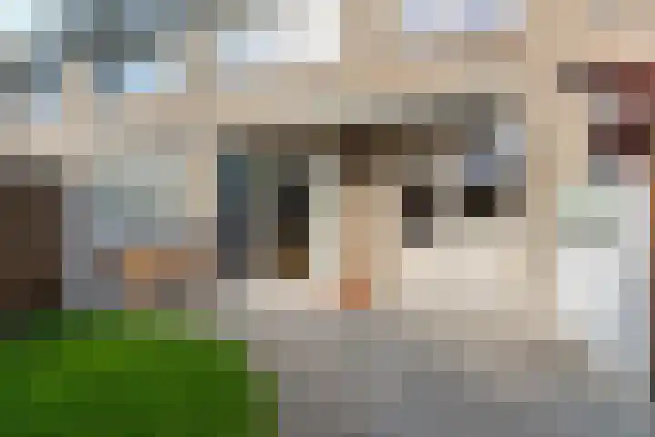 Zilverakkerweg 39 Dieren thumbnail 32