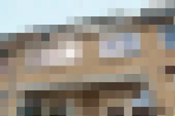 Zilverakkerweg 39 Dieren thumbnail 33