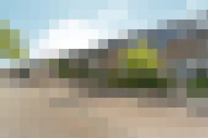 Zilverakkerweg 39 Dieren thumbnail 37