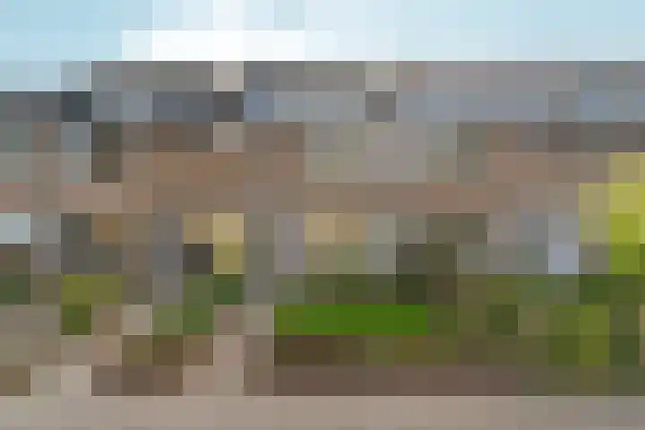 Zilverakkerweg 39 Dieren thumbnail 38
