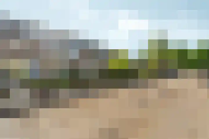 Zilverakkerweg 39 Dieren thumbnail 39