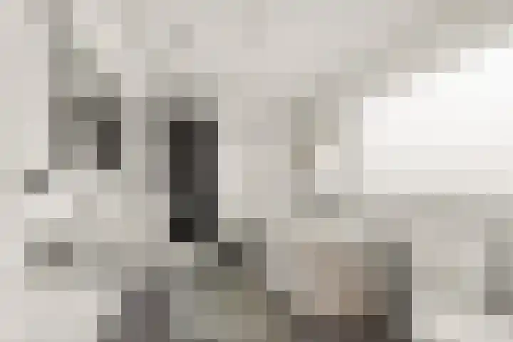 Zilverakkerweg 39 Dieren thumbnail 4