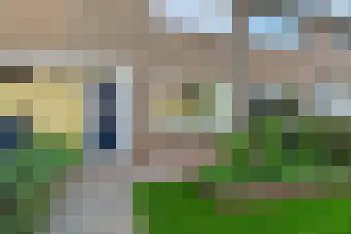 Zilverakkerweg 39 Dieren thumbnail 5