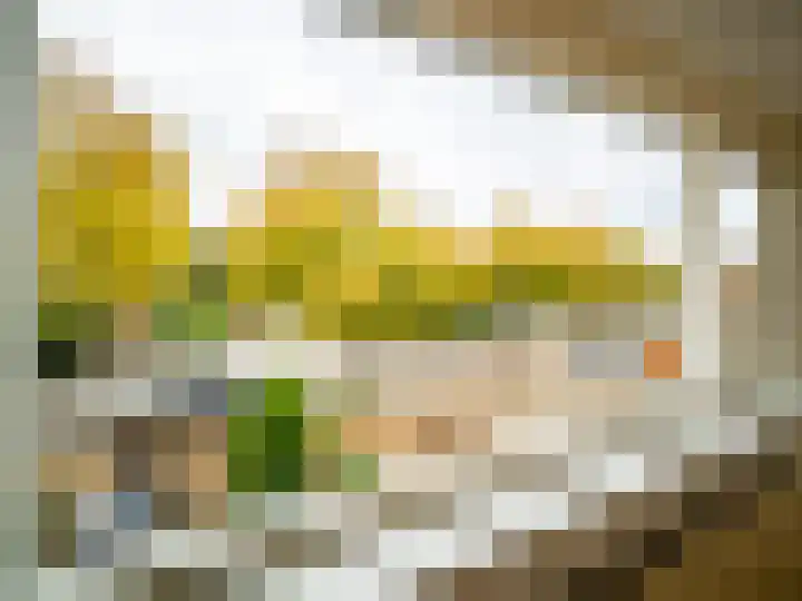 Zilverakkerweg 46 Dieren thumbnail 12