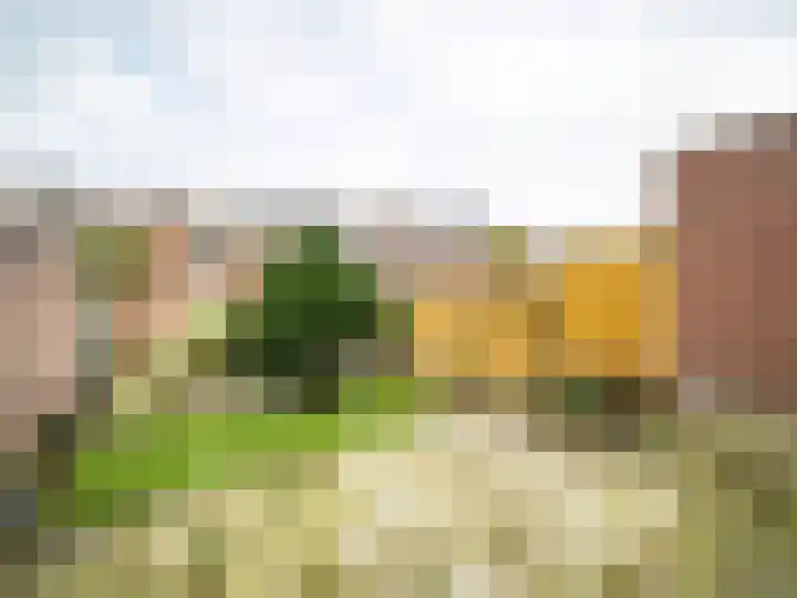 Zilverakkerweg 46 Dieren thumbnail 17