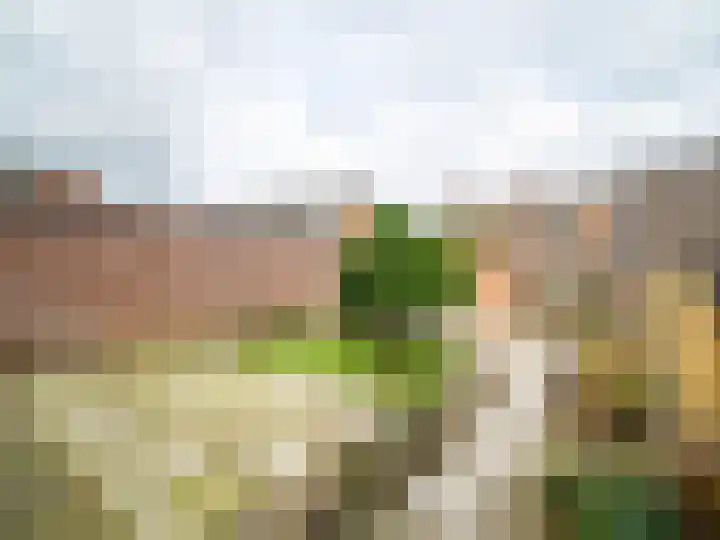 Zilverakkerweg 46 Dieren thumbnail 18