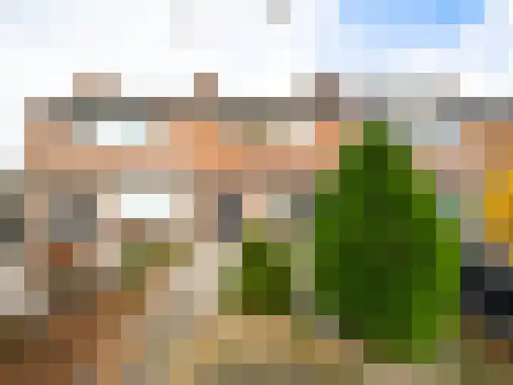 Zilverakkerweg 46 Dieren thumbnail 21