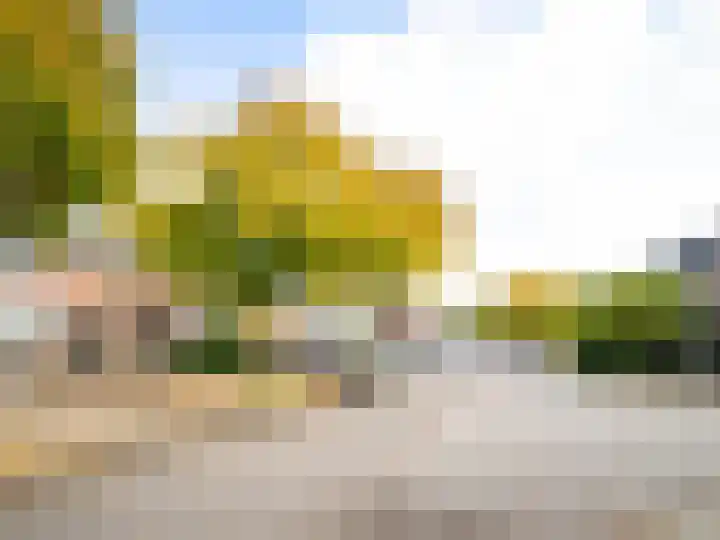 Zilverakkerweg 46 Dieren thumbnail 22