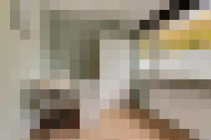 Zilverakkerweg 57 Dieren thumbnail 20