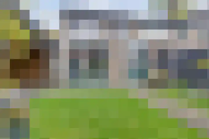 Zilverakkerweg 57 Dieren thumbnail 24