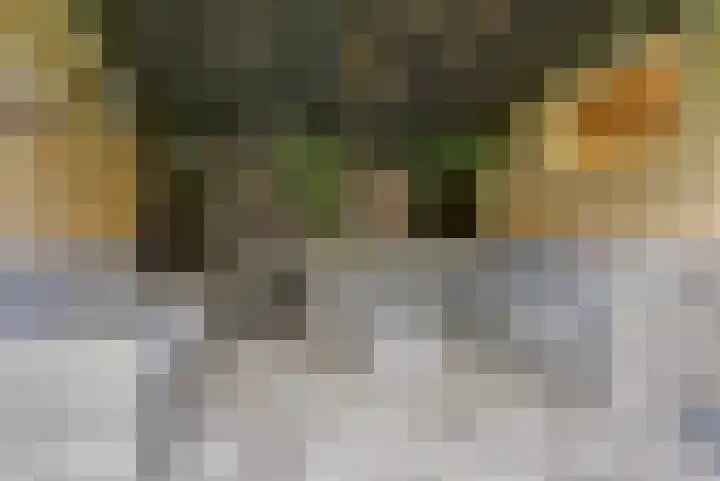 Zilverakkerweg 57 Dieren thumbnail 27