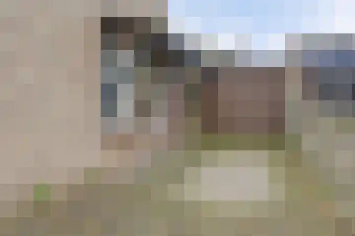 Zilverakkerweg 57 Dieren thumbnail 33