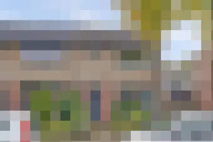 Zilverakkerweg 57 Dieren thumbnail 34