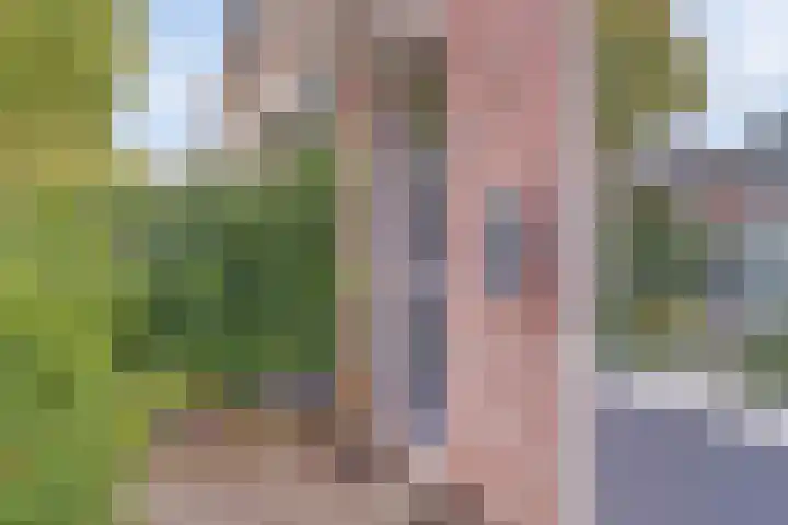 Zilverakkerweg 57 Dieren thumbnail 35