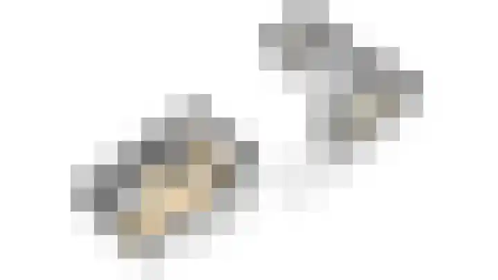 Zilverakkerweg 57 Dieren thumbnail 37