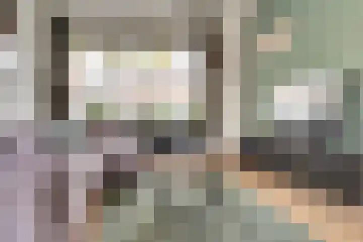 Zilverakkerweg 57 Dieren thumbnail 4