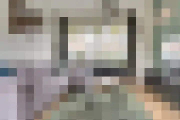 Zilverakkerweg 57 Dieren thumbnail 5