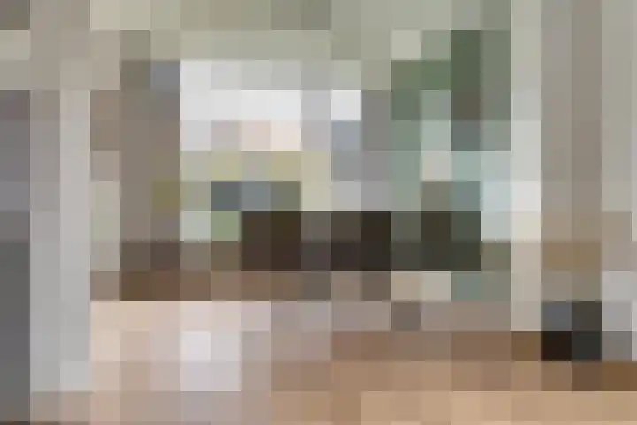Zilverakkerweg 57 Dieren thumbnail 7