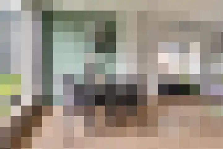 Zilverakkerweg 57 Dieren thumbnail 8
