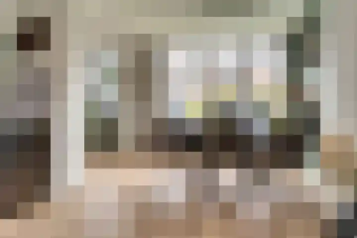 Zilverakkerweg 57 Dieren thumbnail 9