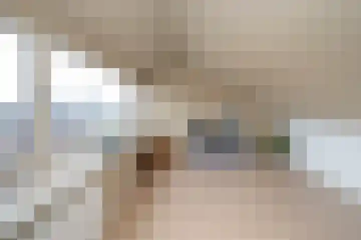 Zilverakkerweg 60 Dieren thumbnail 12