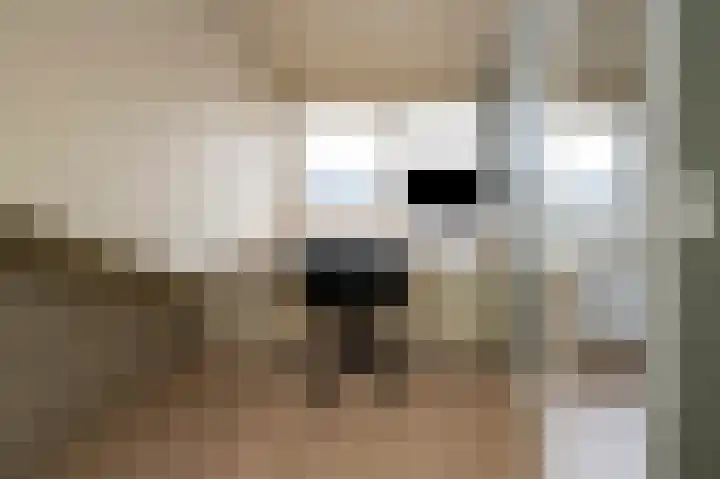 Zilverakkerweg 60 Dieren thumbnail 13