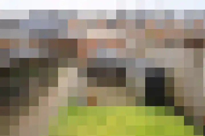Zilverakkerweg 60 Dieren thumbnail 14
