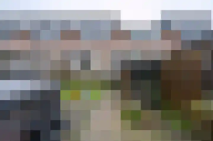 Zilverakkerweg 60 Dieren thumbnail 15
