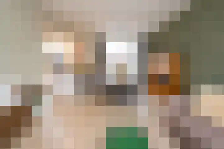 Zilverakkerweg 60 Dieren thumbnail 4