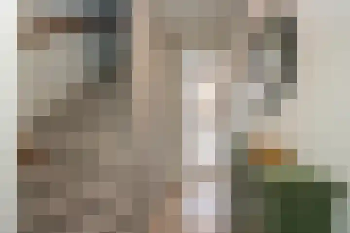 Zilverakkerweg 60 Dieren thumbnail 7