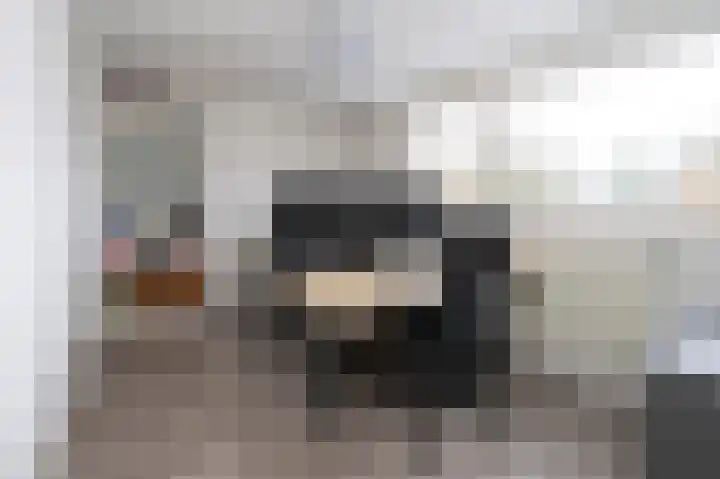 Zilverakkerweg 60 Dieren thumbnail 9